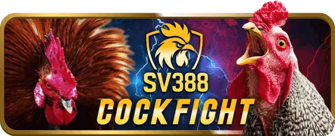 Cá cược thể thao 88bet win
